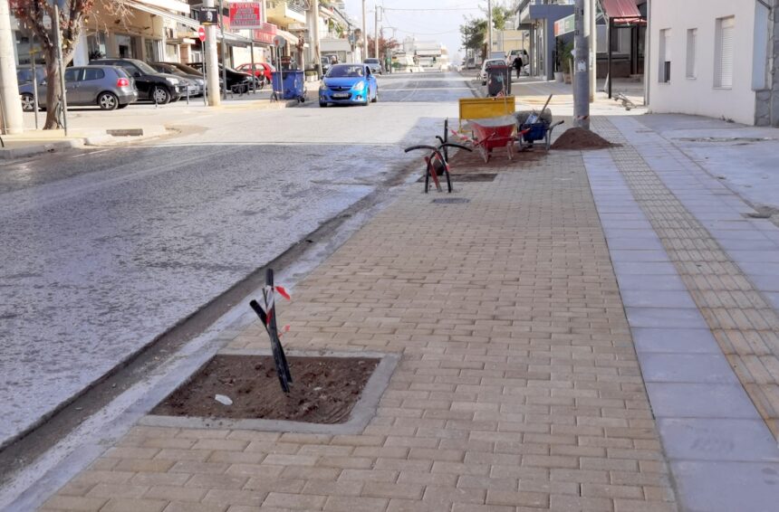"Γιατί έκοψαν τα δέντρα στην ανάπλαση της Φαβιέρου;" 1
