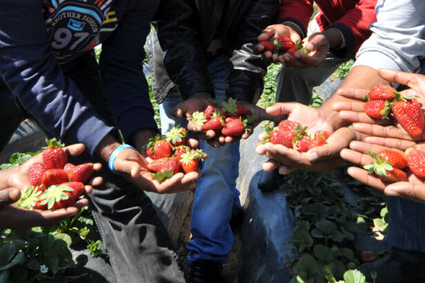 Τελικά, αυτή η χώρα πλημμύρισε από ξένους... 7
