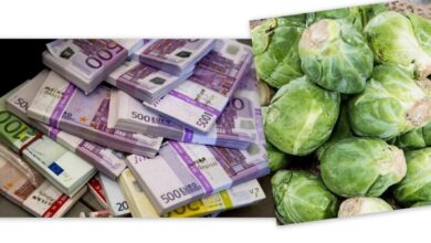 Δ. Αλεξάκης: Χαϊδαριώτικα λαχανάκια Βρυξελλών με "ψηφιακές υπηρεσίες" 2.000.000€ 33