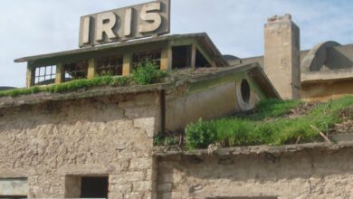 IRIS, Ελευσίνα: Η παλιά βιομηχανία γίνεται πολυχώρος πολιτισμού 11