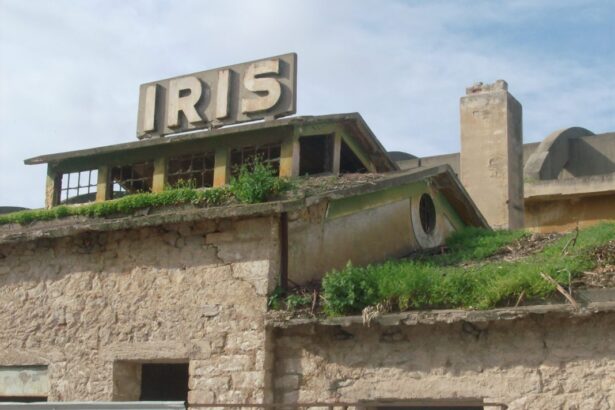 IRIS, Ελευσίνα: Η παλιά βιομηχανία γίνεται πολυχώρος πολιτισμού 11