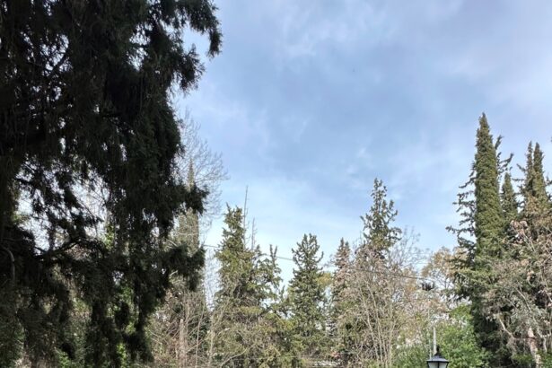 Το ζωηρό τριήμερο έκλεισε με παραδοσιακά Κούλουμα 43