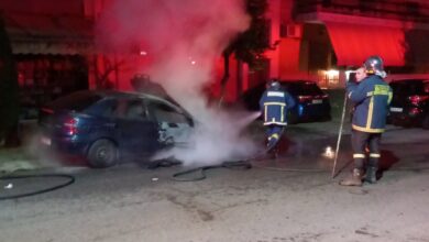 Στις φλόγες τα ξημερώματα αυτοκίνητο στο Δάσος 7