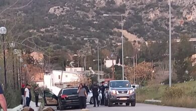 Νεόκτιστα: Εγκληματική οδήγηση, θύματα πολλά ζώα - Σκληρή εικόνα 1