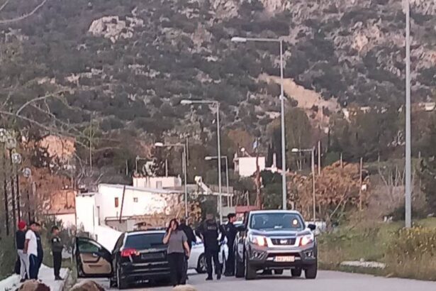 Νεόκτιστα: Εγκληματική οδήγηση, θύματα πολλά ζώα - Σκληρή εικόνα 3