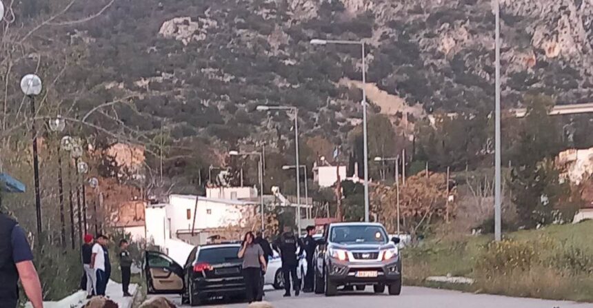 Νεόκτιστα: Εγκληματική οδήγηση, θύματα πολλά ζώα - Σκληρή εικόνα 1