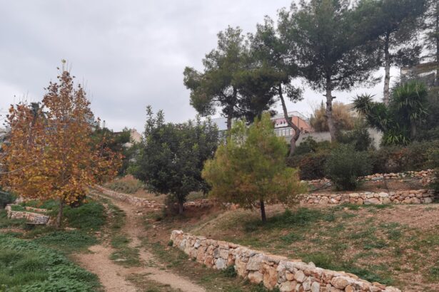 Φύση και παιχνίδι: Το Πάρκο Εθελοντισμού όμορφος χώρος για παιδική χαρά 39