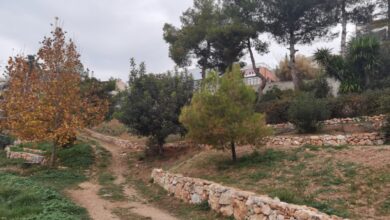 Φύση και παιχνίδι: Το Πάρκο Εθελοντισμού όμορφος χώρος για παιδική χαρά 1