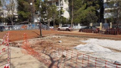 "Τις πλάκες τις έσπασε η μπουλντόζα που ξερίζωνε τα δέντρα" 25