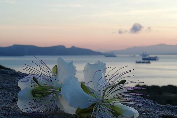"Όλοι μαζί, να σώσουμε αυτή την ευλογία" 27