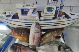 Κυριακή των Βαΐων στην Αργυρόνησο Fish Grill - Βίντεο με τα ψάρια της ημέρας 26