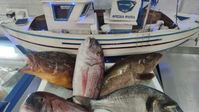 Κυριακή των Βαΐων, το έθιμο θέλει ψάρι και εμείς την Αργυρόνησο! 3