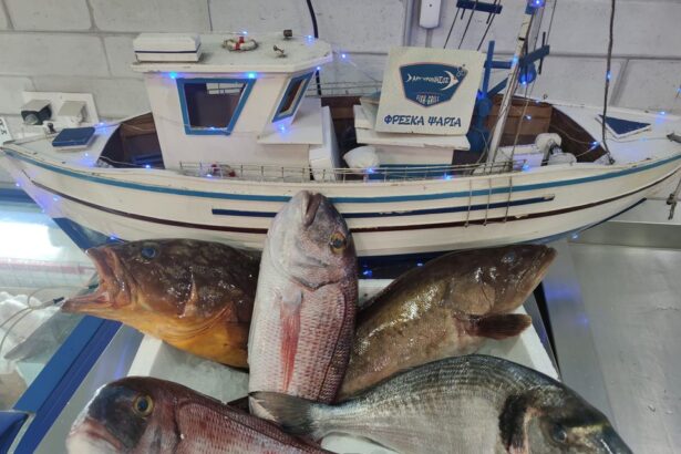 Κυριακή των Βαΐων, το έθιμο θέλει ψάρι και εμείς την Αργυρόνησο! 37