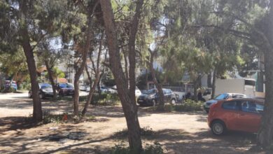 Αγωνία και αγανάκτηση στο Δάσος για την "εξαΰλωση" πευκόφυτης έκτασης - 7 ερωτήματα 3