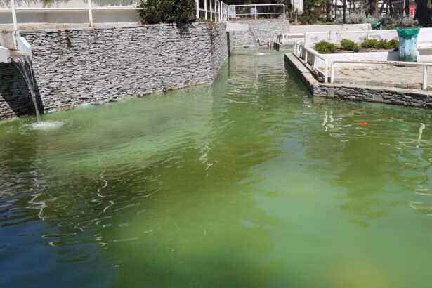 Θόλωσαν οι λιμνούλες του Αίθριου - Το θαύμα κράτησε 10 μέρες 35