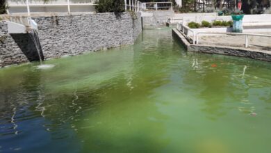Θόλωσαν οι λιμνούλες του Αίθριου - Το θαύμα κράτησε 10 μέρες 27