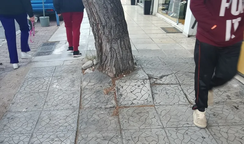 "Άγρια ομορφιά" 4 "Άγρια ομορφιά" 3