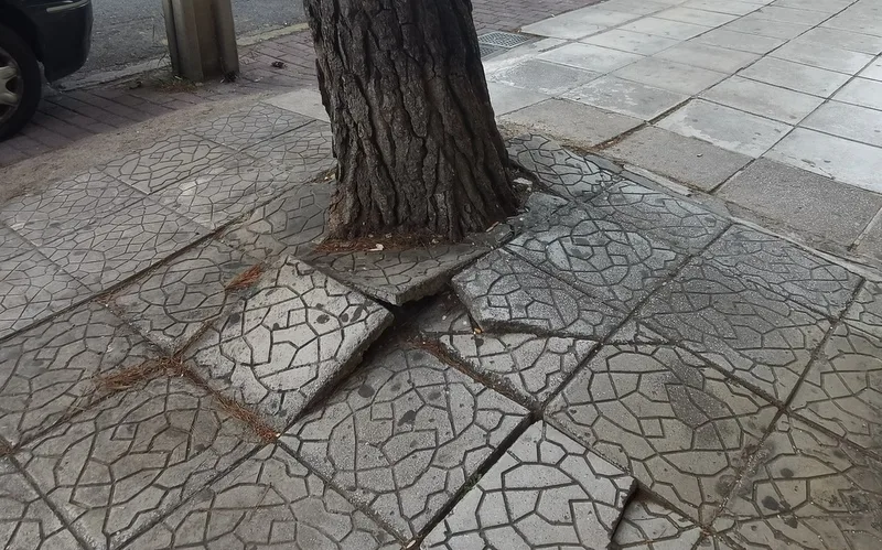 "Άγρια ομορφιά" 2 "Άγρια ομορφιά" 1