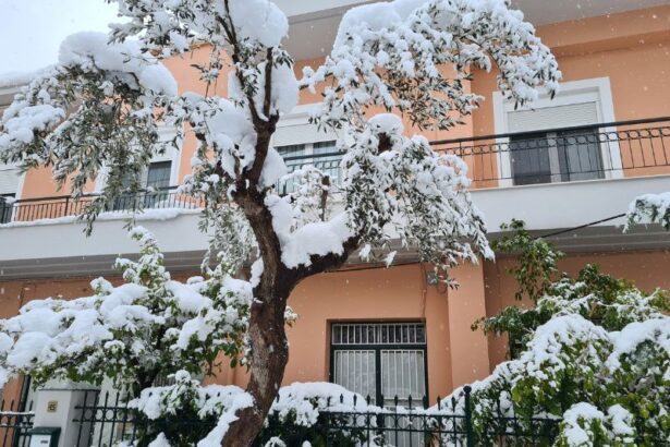 Πώς να μειώσετε το κρύο που μπάζει από τα παράθυρα 23