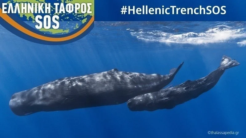 Ελληνική Τάφρος: Να προστατευτεί τώρα! 17 SOS 5 ελληνική τάφρος