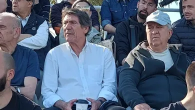 Νίκος Σαργκάνης
