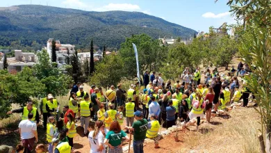 Η "χαρούμενη" δενδροφύτευση άφησε ένα θλιβερό τοπίο 33