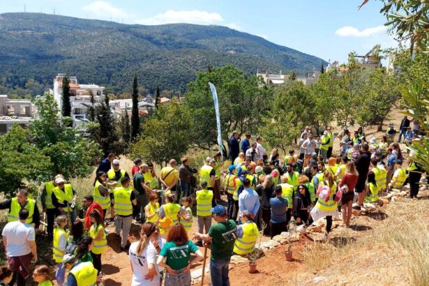 Η "χαρούμενη" δενδροφύτευση άφησε ένα θλιβερό τοπίο 7