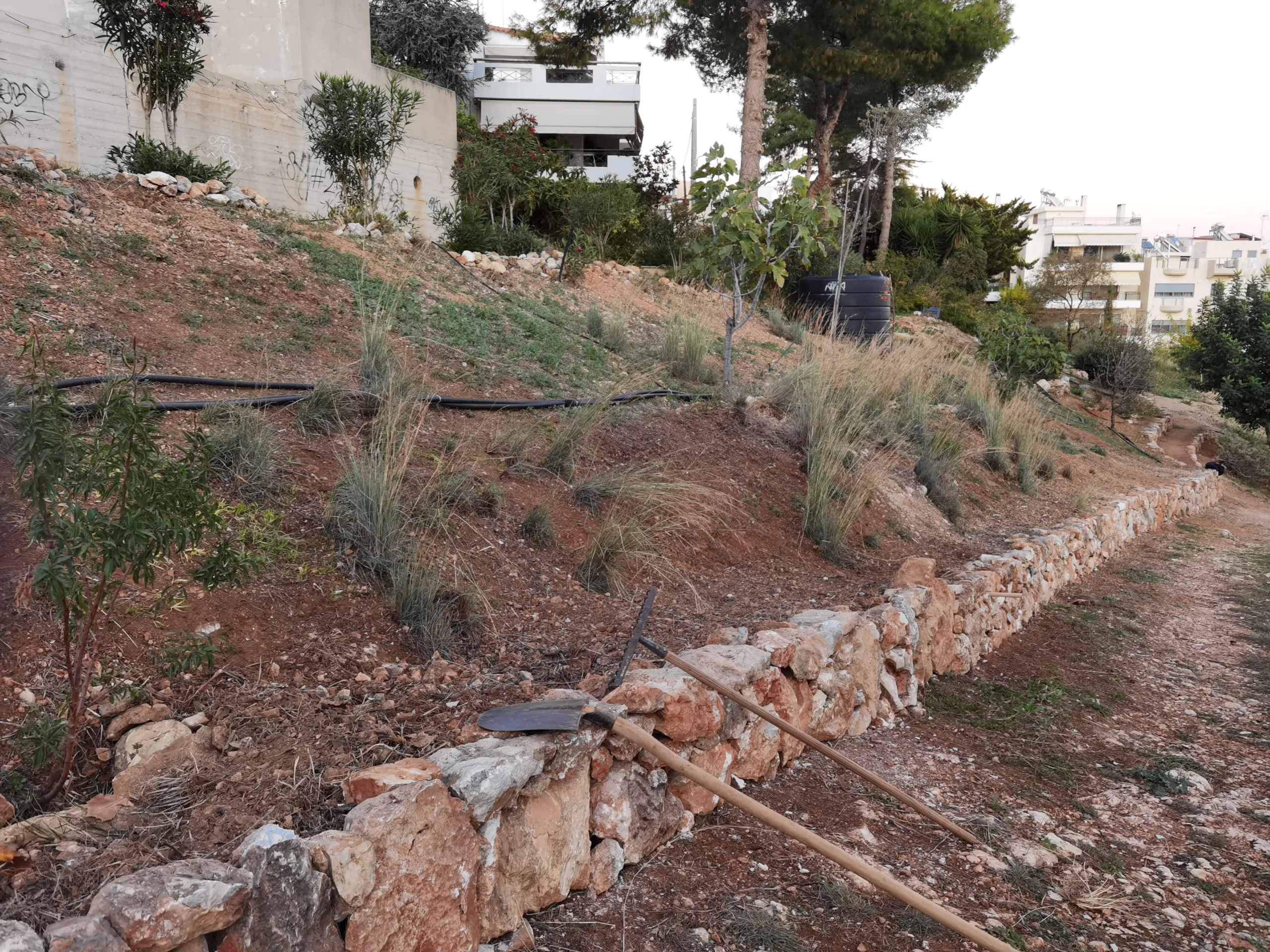 Ούτε σήμερα κατάλαβε ο δήμαρχος πού έκανε δενδροφύτευση! 10 Ούτε σήμερα κατάλαβε ο δήμαρχος πού έκανε δενδροφύτευση! 9