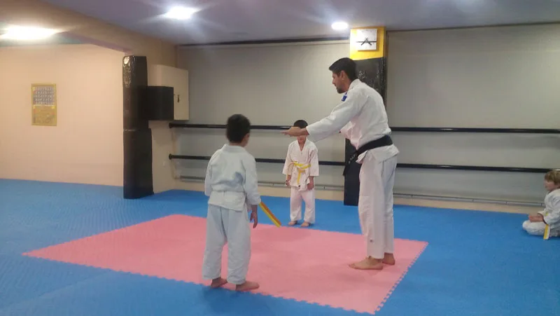 Haidari Judo Academy: 4 μαθητές του στους Βαλκανικούς με τα ελληνικά χρώματα! 8 Haidari Judo Academy: 4 μαθητές του στους Βαλκανικούς με τα ελληνικά χρώματα! 7