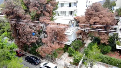"Θα είμαστε πάντα τόσο τυχεροί με τα ξερά πεύκα, όσο σήμερα το πρωί;" 32