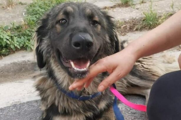 "Αυτό είναι το επίπεδο του πολιτισμού του Δήμου Περιστερίου;" 27