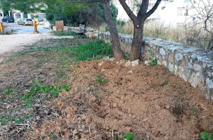 Αγριογούρουνα: Ξέρω πως είναι εδώ, δίπλα στα σπίτια! - Τι ισχύει για τις "στενές επαφές"; 2 Αγριογούρουνα: Ξέρω πως είναι εδώ, δίπλα στα σπίτια! - Τι ισχύει για τις "στενές επαφές"; 1