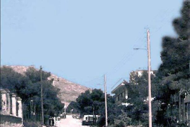 Σατωβριάνδου, Δάσος - Μια παλιά φωτογραφία ξυπνά αναμνήσεις 9