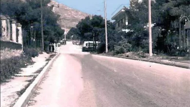 Σατωβριάνδου, Δάσος - Μια παλιά φωτογραφία ξυπνά αναμνήσεις 137