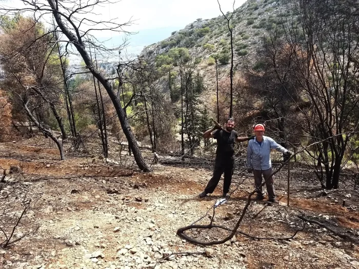 Διομήδειος Κήπος: Αποκατάσταση της καμένης πλαγιάς και φυσική αναγέννηση 6 Διομήδειος Κήπος: Αποκατάσταση της καμένης πλαγιάς και φυσική αναγέννηση 5