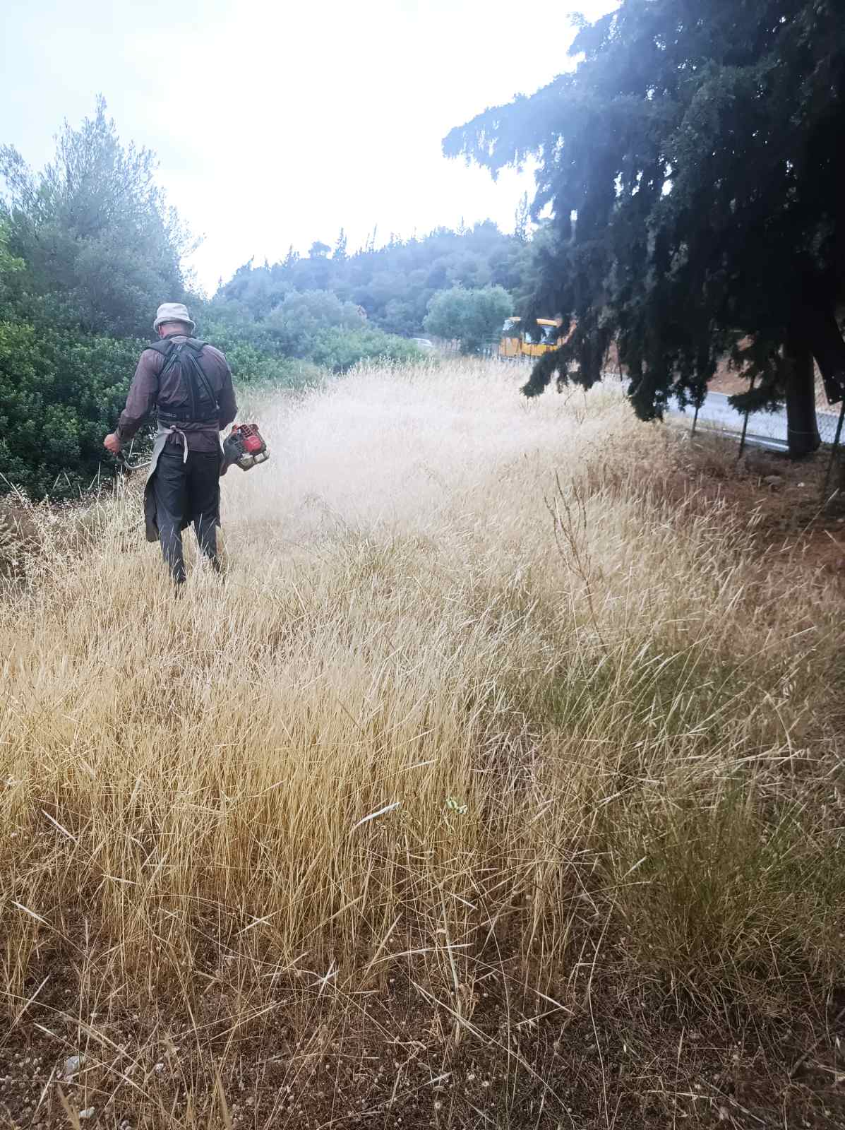 "Καμπανάκι" στον Δήμο για δρόμο που διασχίζει δάσος 4 "Καμπανάκι" στον Δήμο για δρόμο που διασχίζει δάσος 3