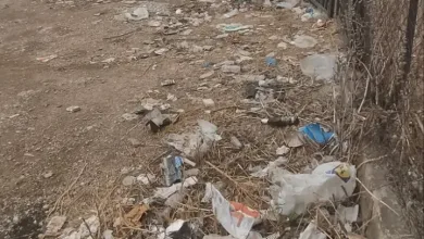 "Καμπανάκι" στον Δήμο για δρόμο που διασχίζει δάσος 16