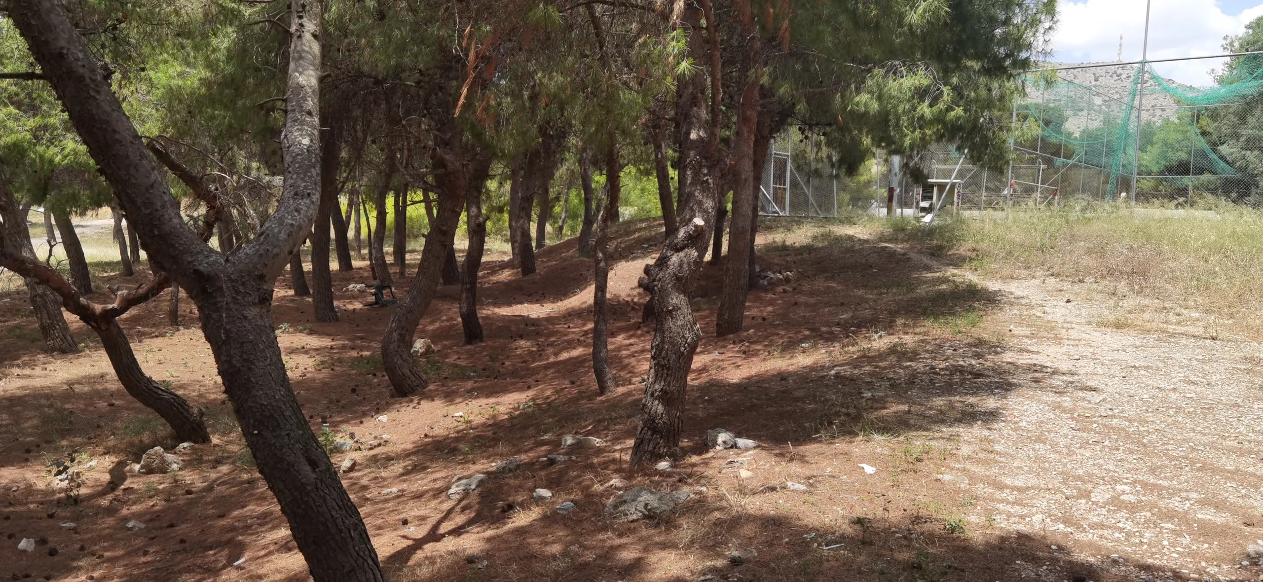 Μαύρα χάλια στο γήπεδο και το γύρω άλσος 6 Μαύρα χάλια στο γήπεδο και το γύρω άλσος 5