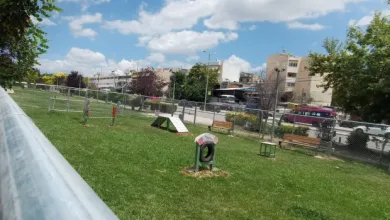"Πάρκο τσέπης" σκύλων ή πάρκο "σκύλων τσέπης"; 1