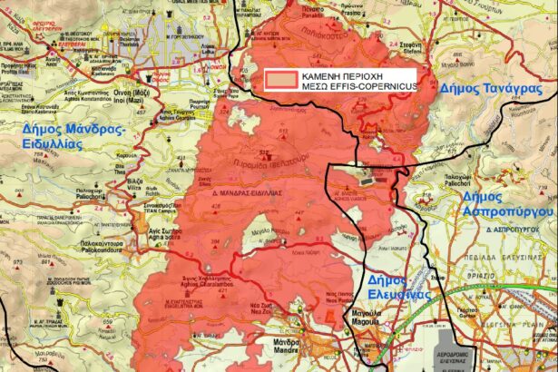 Τι μάς κοστίζουν τα 100.000 στρέμματα που κάηκαν στη Δυτική Αττική; 41