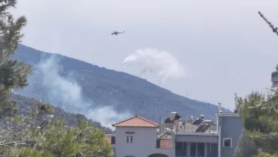 Κοιλάδα του Δαφνιού: Νέα εστία στην πλευρά του Όρους Αιγάλεω! 82