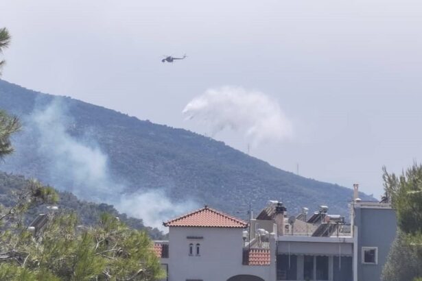 Κοιλάδα του Δαφνιού: Νέα εστία στην πλευρά του Όρους Αιγάλεω! 29