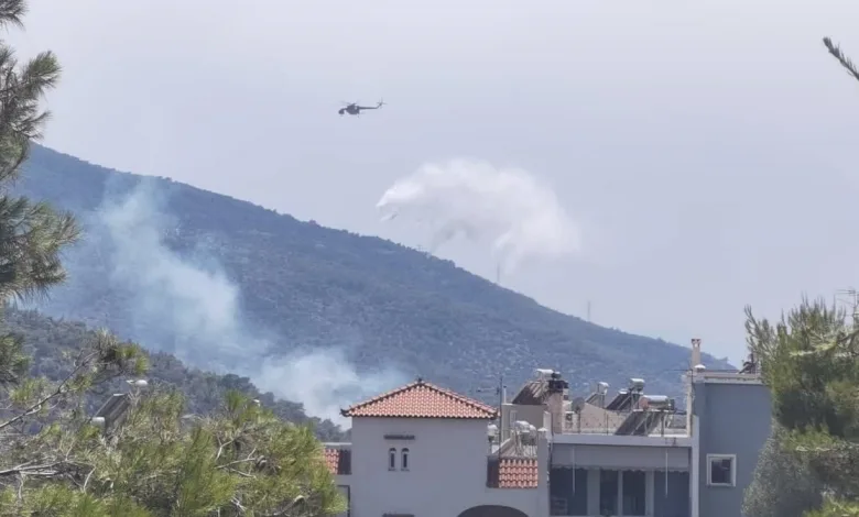 Κοιλάδα του Δαφνιού: Νέα εστία στην πλευρά του Όρους Αιγάλεω! 2 Κοιλάδα του Δαφνιού: Νέα εστία στην πλευρά του Όρους Αιγάλεω! 1