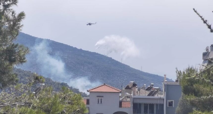 Κοιλάδα του Δαφνιού: Νέα εστία στην πλευρά του Όρους Αιγάλεω! 2 Κοιλάδα του Δαφνιού: Νέα εστία στην πλευρά του Όρους Αιγάλεω! 1