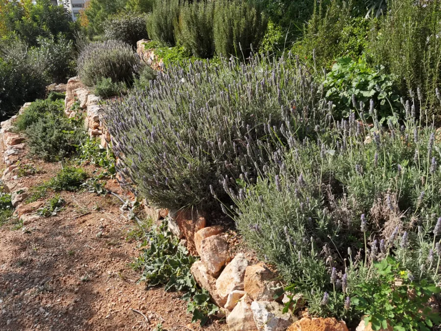 Στην Διεθνή Μπιενάλε Τοπίου Βαρκελώνης πάρκο στο Χαϊδάρι 15 Στην Διεθνή Μπιενάλε Τοπίου Βαρκελώνης πάρκο στο Χαϊδάρι 14