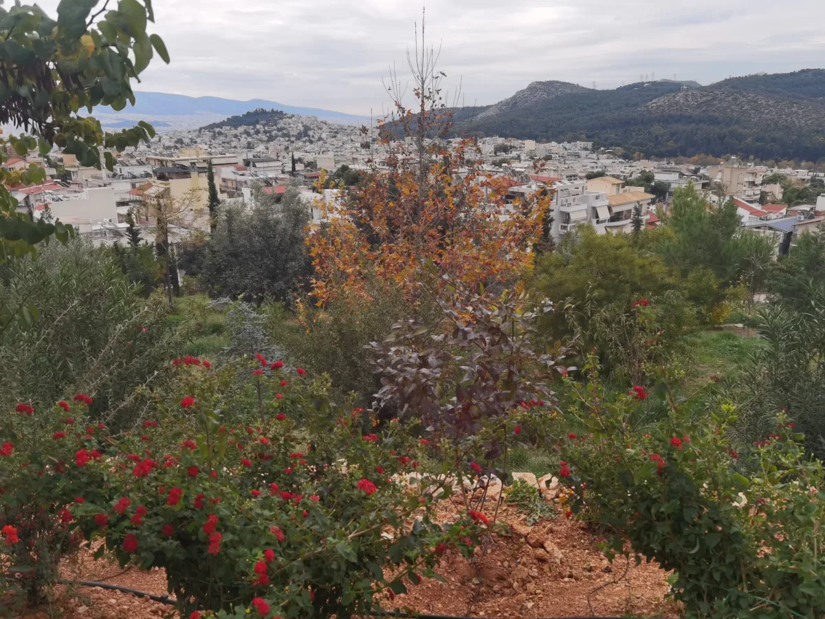 Στην Διεθνή Μπιενάλε Τοπίου Βαρκελώνης πάρκο στο Χαϊδάρι 3 Διεθνής Μπιενάλε Τοπίου της Βαρκελώνης