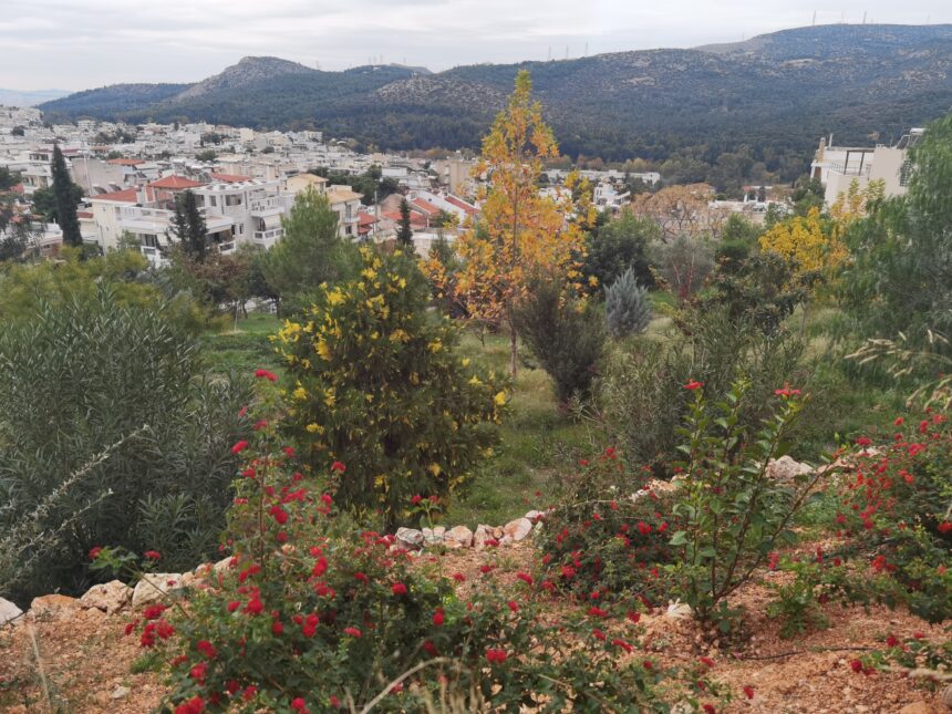 Μεταμόρφωση μπαζότοπου σε ανάσα 2 Μεταμόρφωση μπαζότοπου σε ανάσα 1