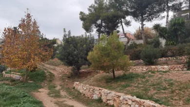 Στην Διεθνή Μπιενάλε Τοπίου Βαρκελώνης πάρκο στο Χαϊδάρι 7