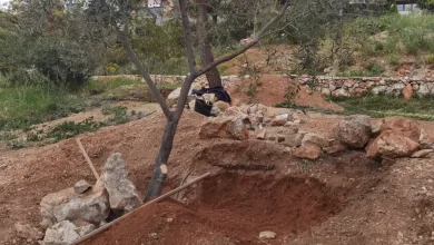 πεζούλες