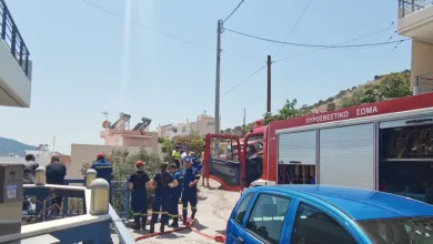Φωτιά στο Άνω Δάσος απείλησε σπίτια και την πλαγιά του Ποικίλου - Βίντεο 8